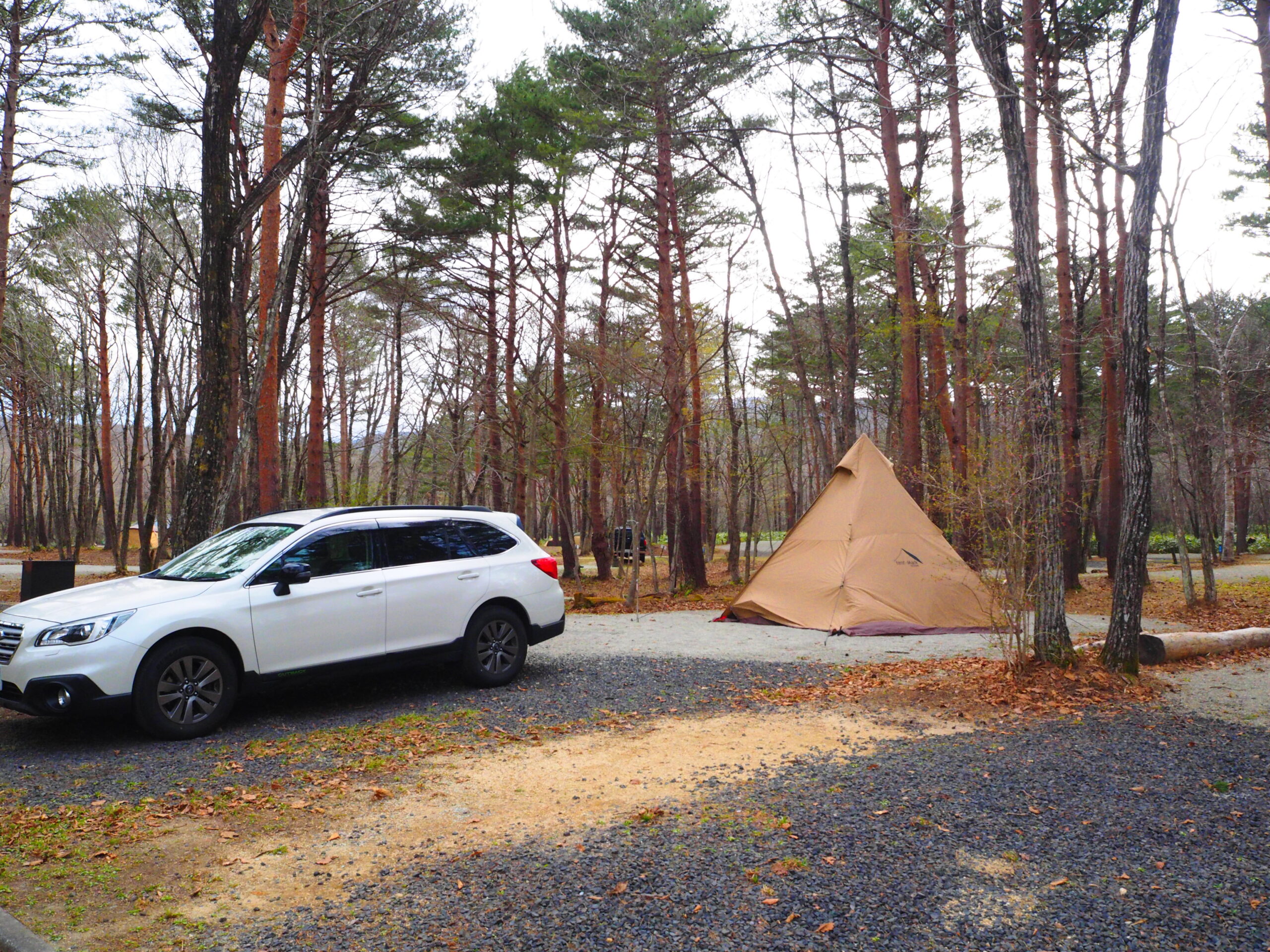 エンゼルフレスト那須白河でまったりリゾートキャンプ もっちもち草食恐竜